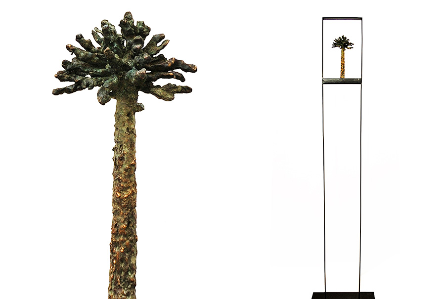 OK-ARAUCARIA2-